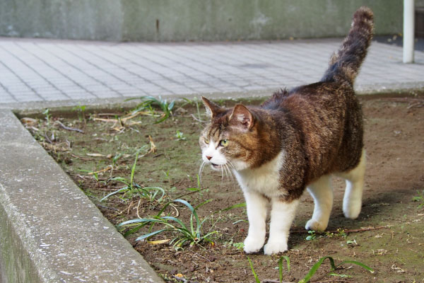 厳しい目でアンを見るマリィ