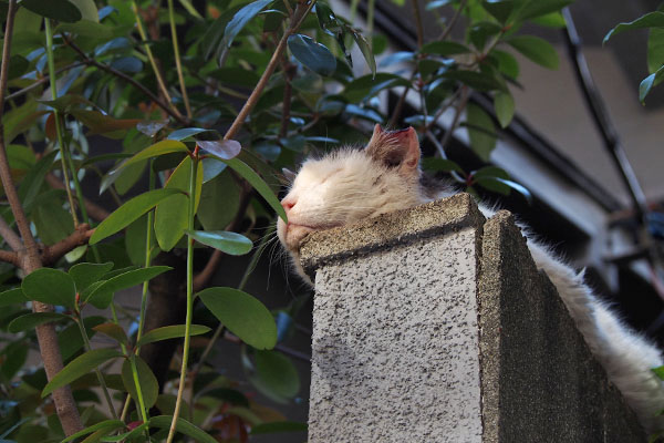 テル　警備中