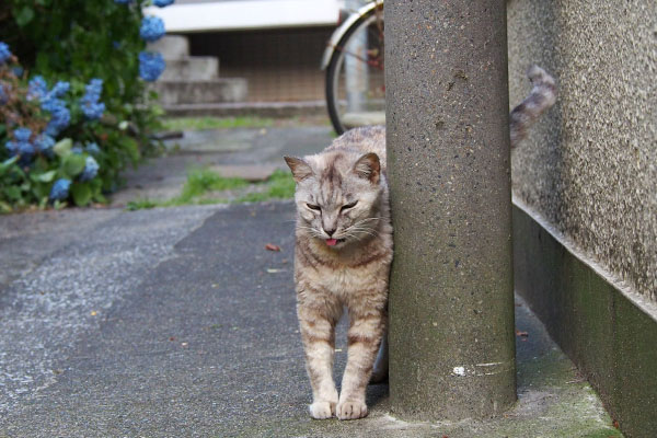 舌ちろ　銀