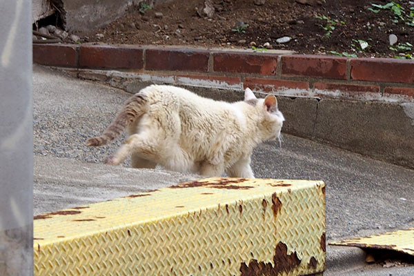 気にせず進むジュリ