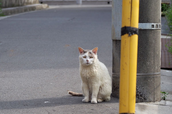 見つめるジュリ