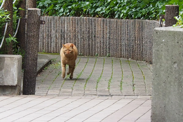 浮いてる　アン