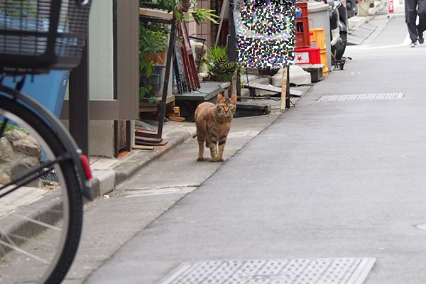 珍しく　見送ってくれたヴェル