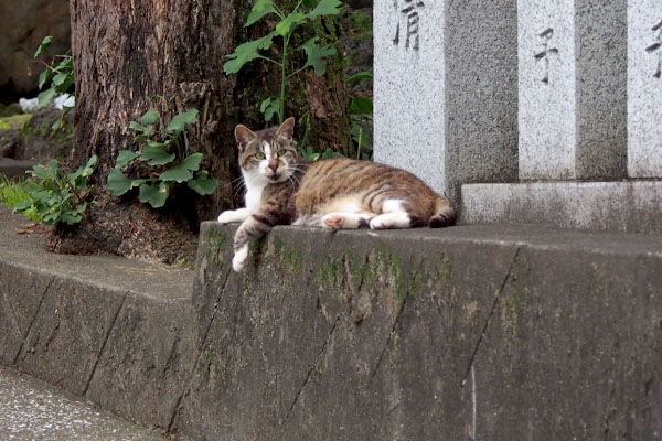 気付くの早い　雫