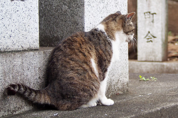 雫の頼もしい背中