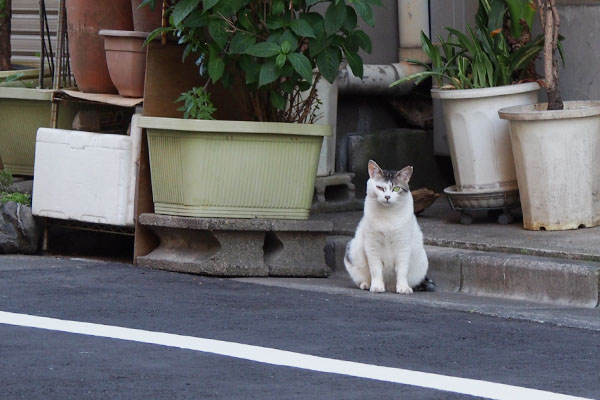 こちらを確認　ケイ