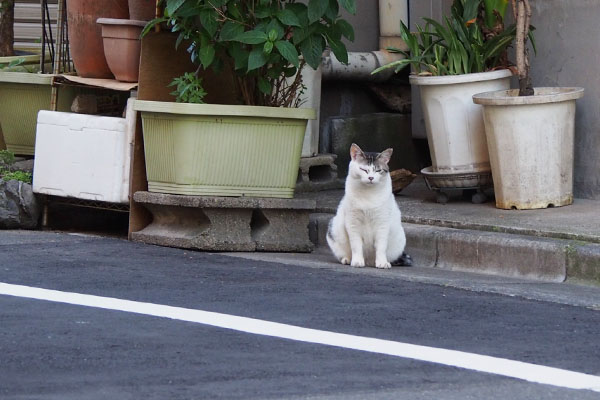 ケイ　遠くを見てる