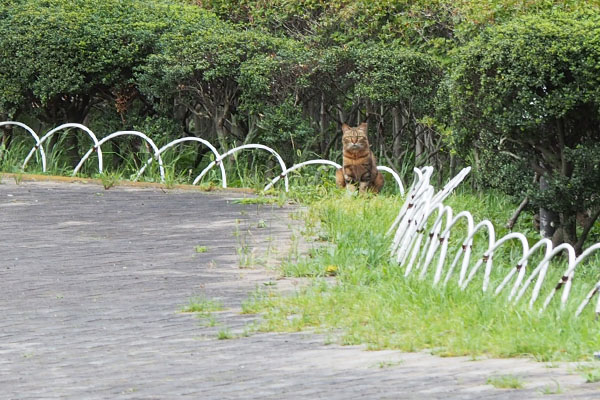 クラタン地蔵ズーム