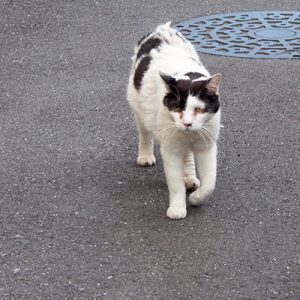 坊 ボサボサの背中で来る