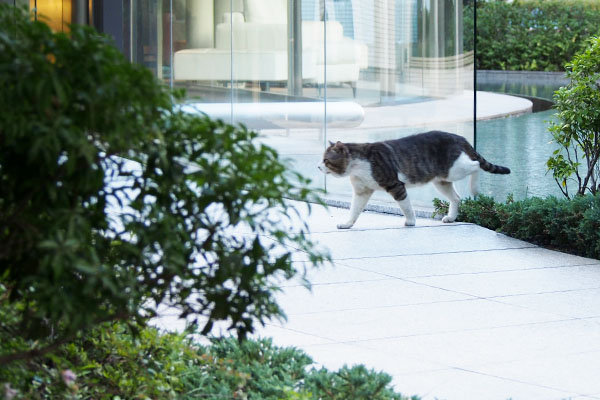 マンション前にキックス