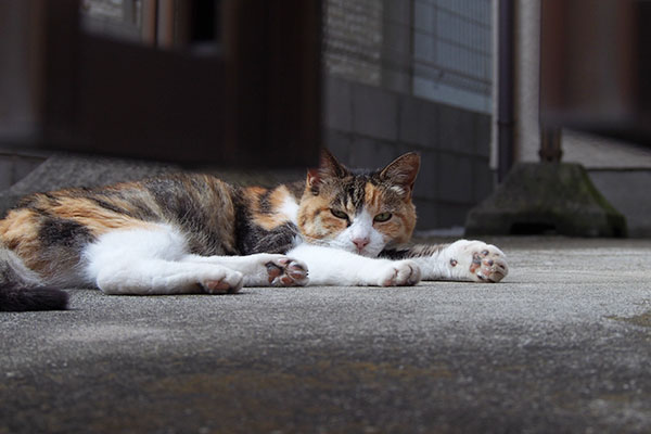 左に居たオトワ