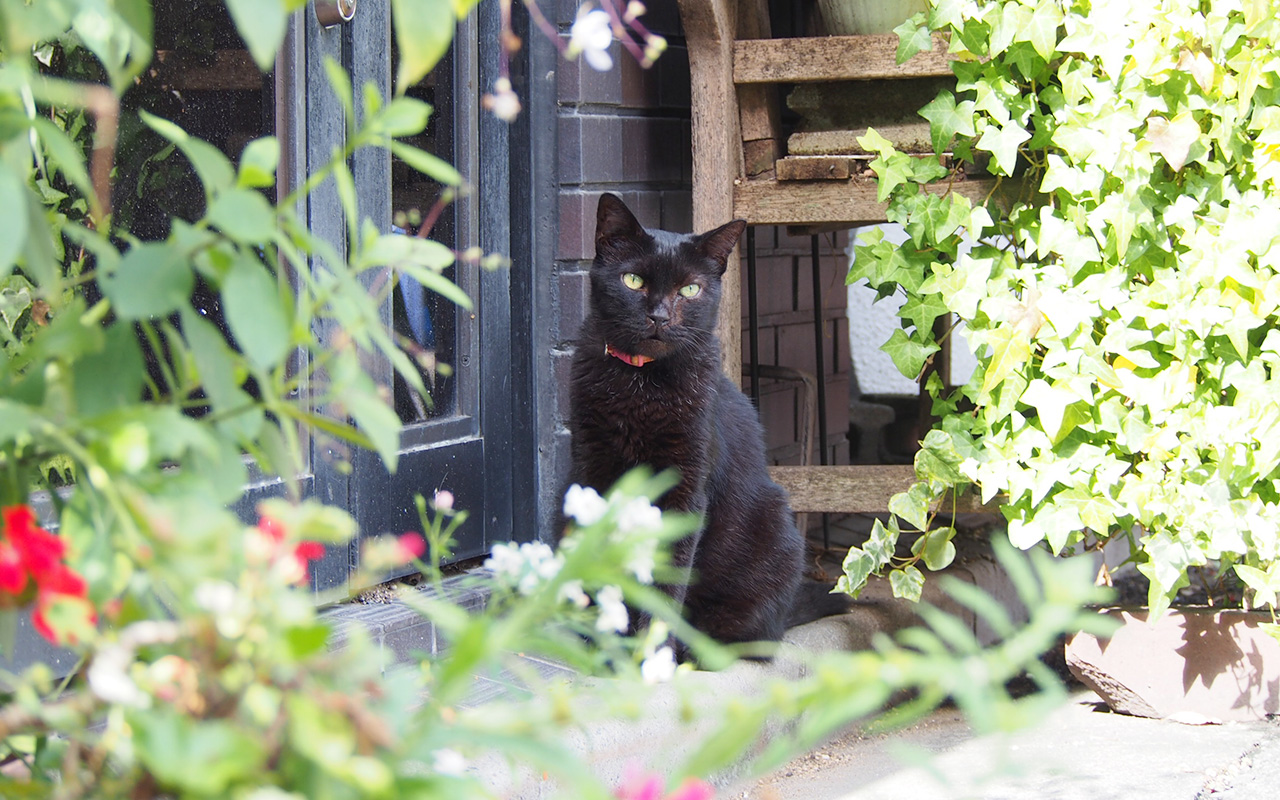 Khoo looks cute with plants