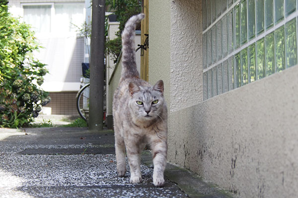 ３　お天気の良い日銀