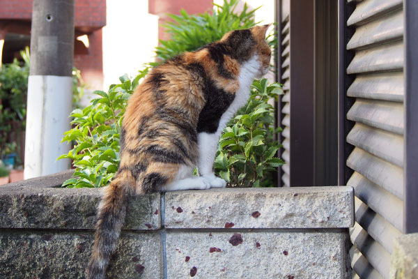 食事が出て来る窓を見ている　オトワ