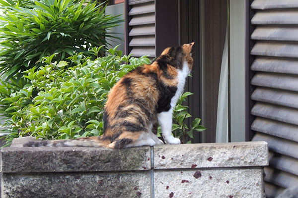 ２　オトワちゃん待つ背中