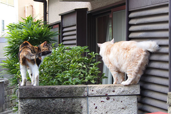 避けられた　ナリコ