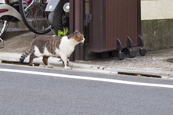 レオ太　工場を覗く