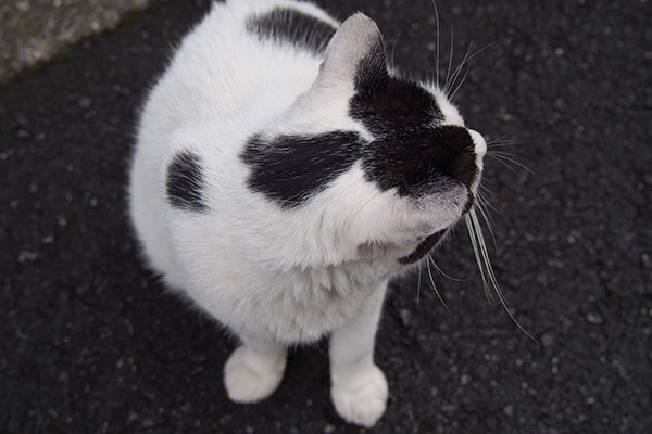 坊の頭　上から