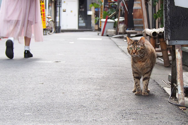 人待ち顔のヴェル