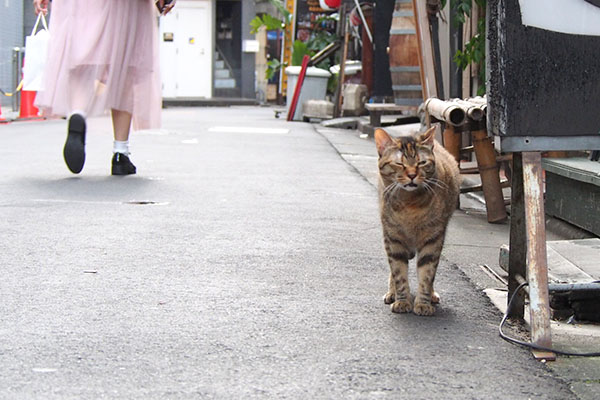 変な顔をする　ヴェル