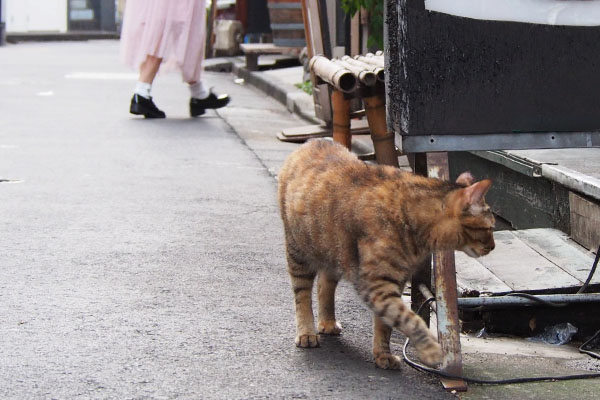 いつもの場所へ　ヴェル