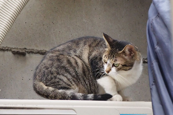 ソラちゃんに気が付く