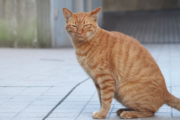 アン　目細く変な顔して