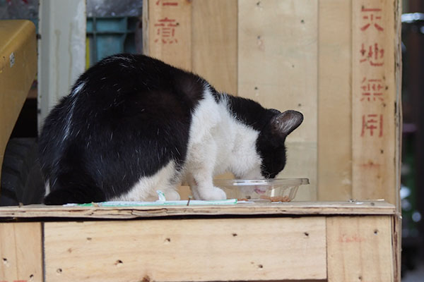 ゆっくり召し上がる　ニコル