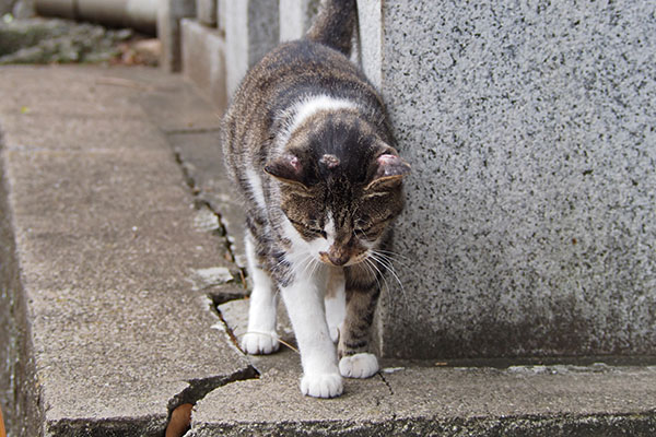 雫　頭にかさぶた