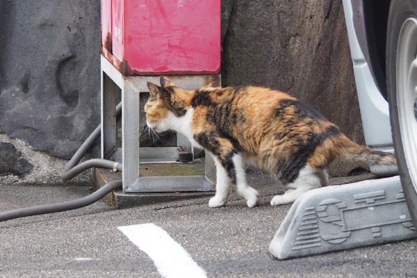 歩き出す　オトワ