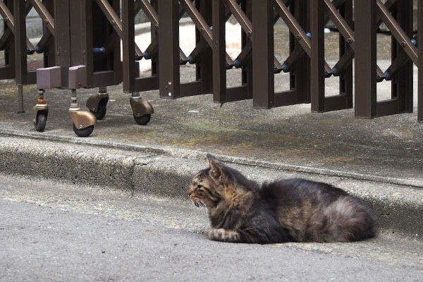 タッチー　奥にナリコ