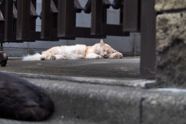 タッチの背中越しにナリコ