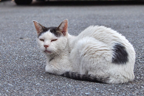 目が細くなる　テン