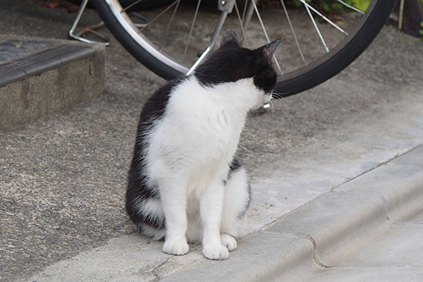 工場の奥さんを見る　ニコル