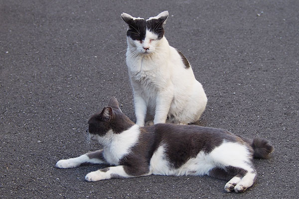 ちびと坊　イカ耳で終了