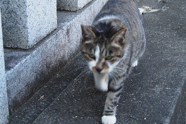 雫　こっちに来る