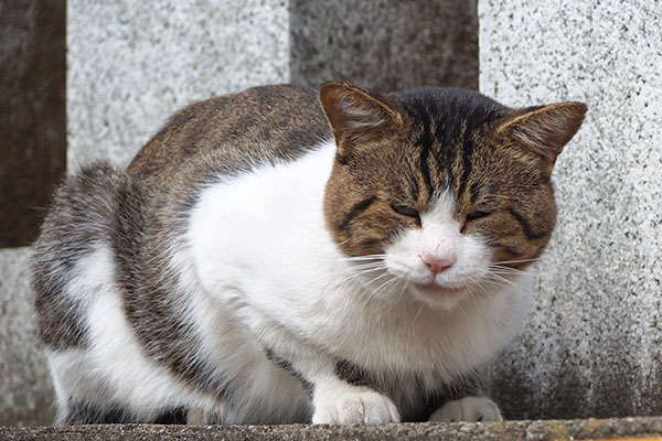 レオ太　食べた後