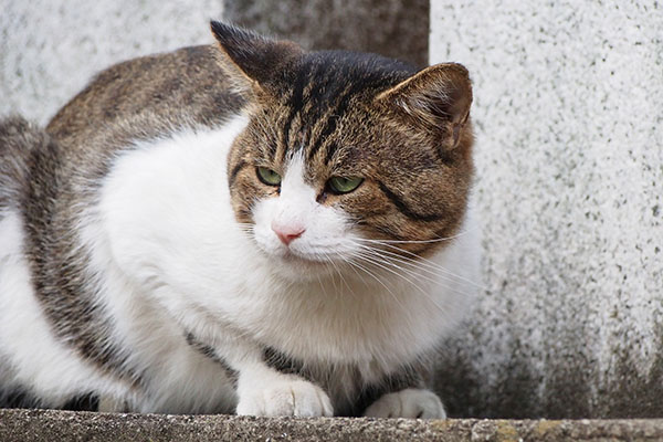 雫を見ているレオ太