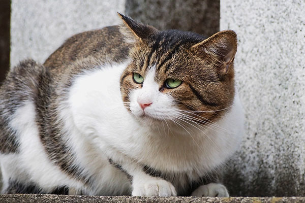 レオ太　あからさまに視線を外す