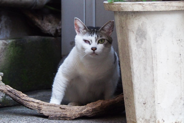 ケイ　目付きが厳しく