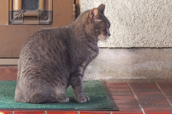 見ちゃだめにゃ　シピ