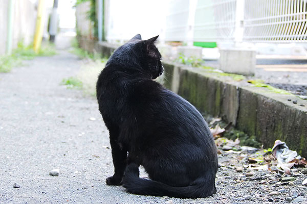 駐車場を見る　ティア