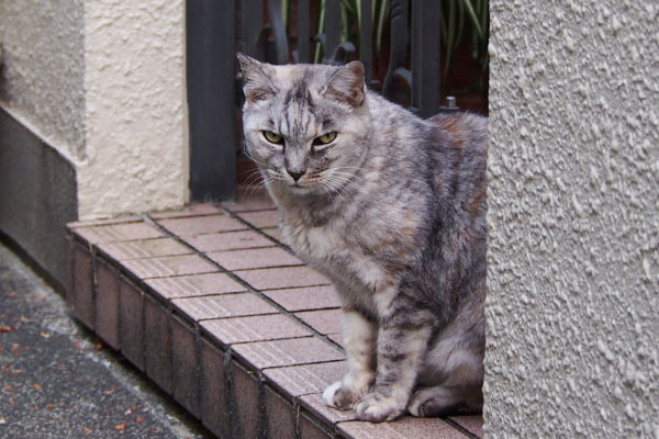 むふふな　銀　ママさん