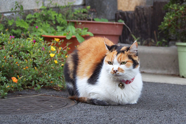 横を向く　もも