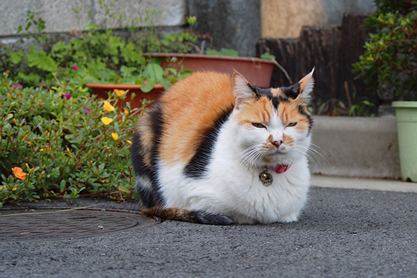 ぼーっとしているもも