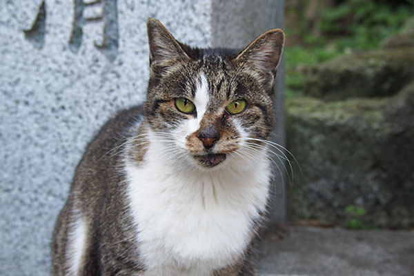 見つめる　雫