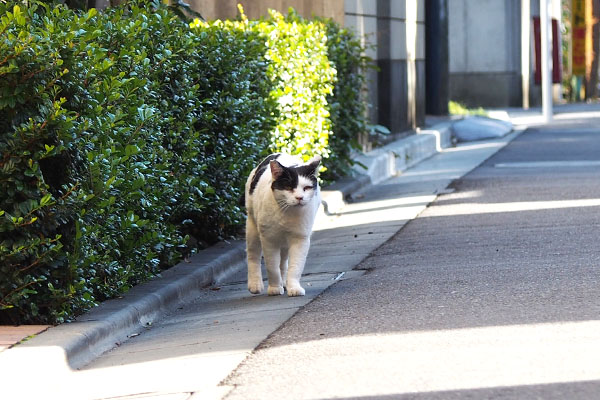 坊　前を向く