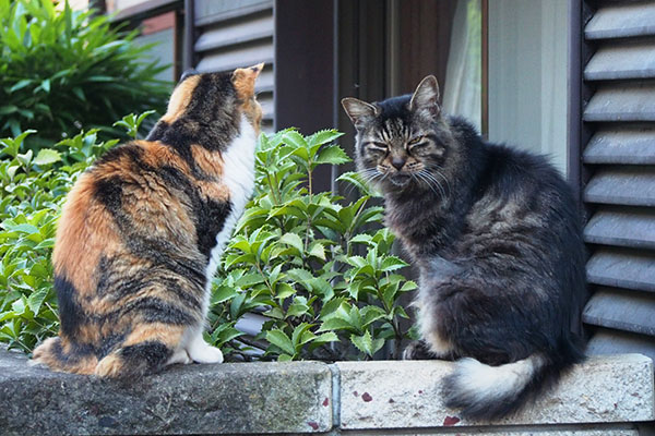 タッチーとオトワ