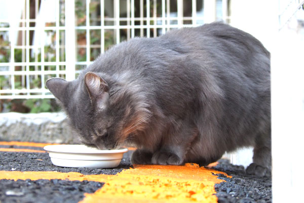 すぐ食べるマフ