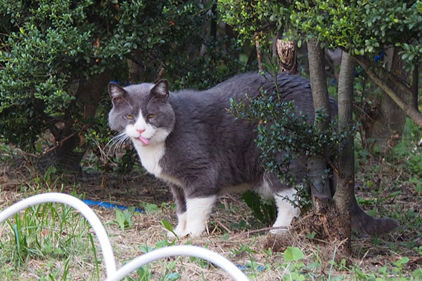 何もないじゃないか　オット